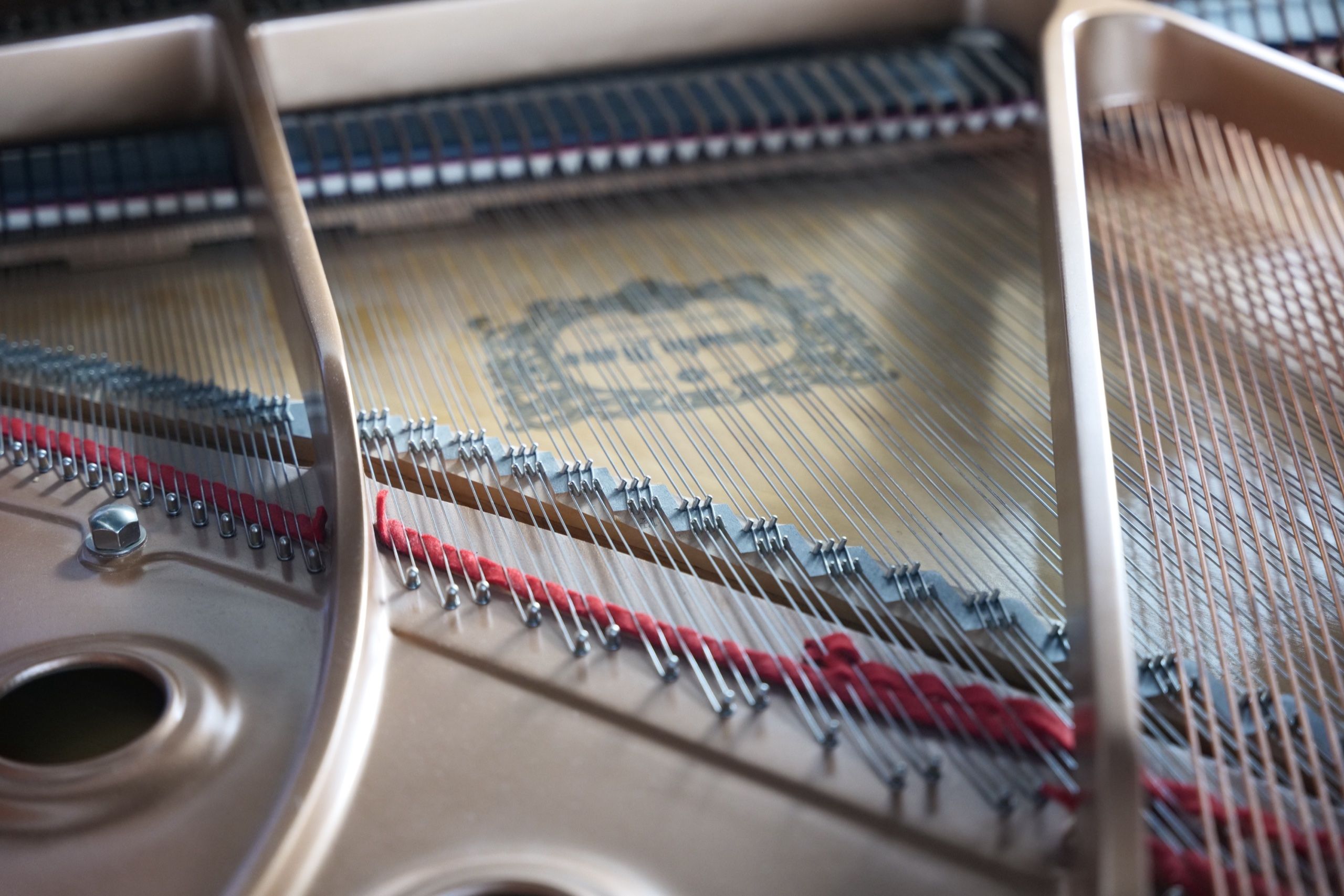 Cuerdas de un piano de cola